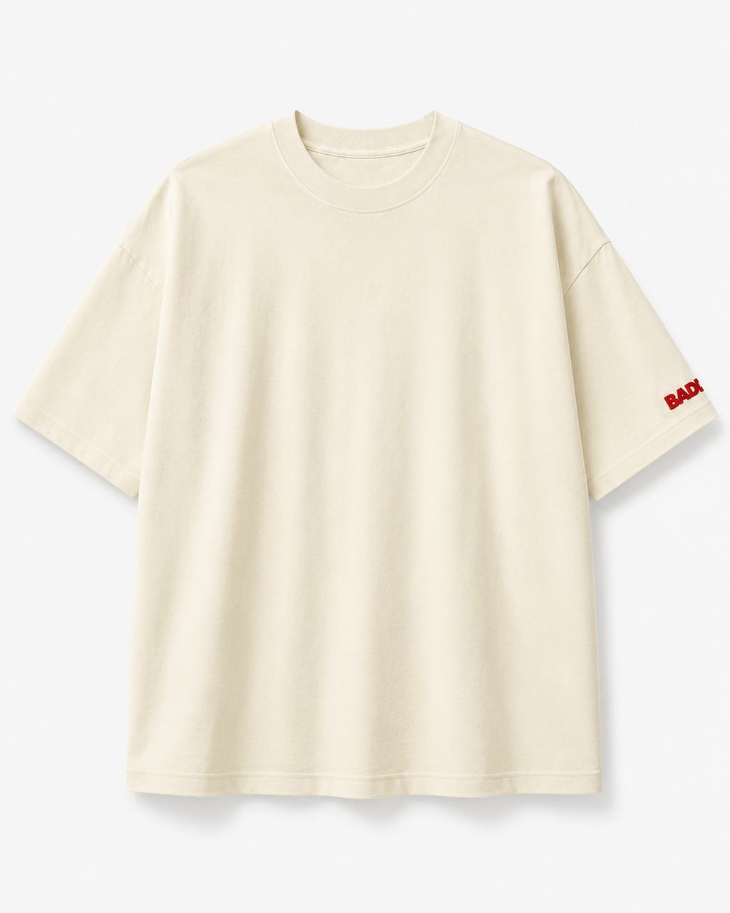LIVING THE DREAM OVERSIZED T-SHIRT